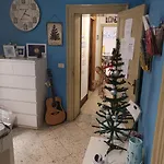 Sunshine Hostal